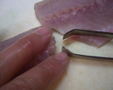 出刃がなくても魚を捌こう！タカベの刺身編作り方8写真