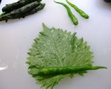 やみつき‼青唐辛子✿ 辛いよ～‼旨いよ～☆（≧▼≦；）大葉巻〆...保存用作り方2写真