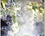 ♪ 新 ♪ わかめとしらすの天婦羅作り方5写真