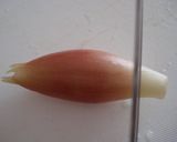 みょうが✿サワー漬け作り方1写真