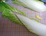 さっぱり白菜ツナレモン作り方3写真
