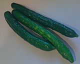 冷蔵庫ぬか漬け作り方1写真