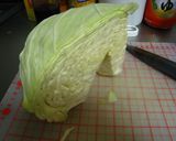 まかないアンロールキャベツ作り方1写真