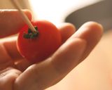 食べると何だか笑ちゃう可愛いプチトマト飴作り方3写真