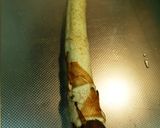 うど１本で４品♪①うどの香り炊き込みご飯作り方2写真