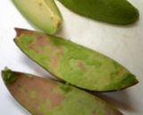 アボカドのきれいなむき方作り方5写真