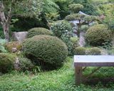 ちゃーはん作り方1写真