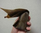 台湾家庭料理♪故郷のちまき♪作り方10写真