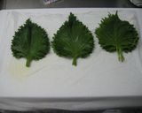 我が家流☆大葉の保存方法作り方2写真