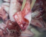 烏賊カレー和え作り方1写真