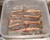 自家製アンチョビ作り方11写真