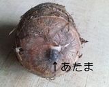 ツルッ!が楽しい☆∮里芋の衣かつぎ☆∮作り方3写真