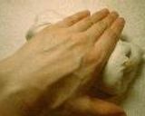 くるみ食パン作り方2写真
