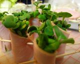 ハムとカイワレの森作り方4写真