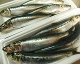 いわしの生姜煮作り方1写真