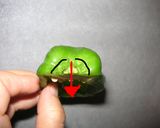 エコで簡単！　ピーマンのヘタ＆種の取り方作り方5写真