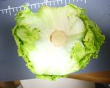 長持ち！レタスの保存作り方1写真