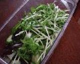 水菜・茄子・胡瓜の簡単浅漬け作り方2写真