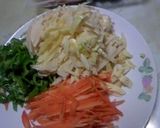 お野菜たっぷりで焼きビーフンの春巻き♪作り方1写真