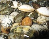 海鮮！ボンゴレロッソ作り方1写真