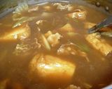 厚揚げと白菜のカレー作り方4写真