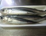 魚のすり身と青菜の煮びたし作り方1写真