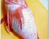 キンキの煮付け ♪ ｱｽﾊﾟﾗ添え ♪作り方1写真