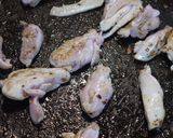 鶏肉の小松菜と花びら茸のオイスター炒め♪作り方2写真
