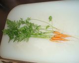 人参葉っぱご飯作り方1写真
