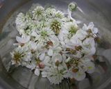 白い花酵母作り方1写真