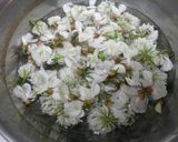 白い花酵母作り方2写真