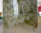 白い花酵母作り方5写真