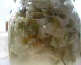 白い花酵母作り方7写真