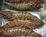 海老のガーリックオイル焼き作り方1写真