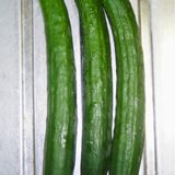 きゅうり大量消費！きゅうりの梅しそ和え作り方1写真