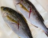 イサキのまるごと湯煮作り方1写真