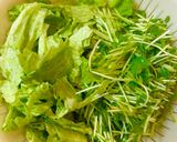 簡単！豆苗＆レタスサラダ作り方1写真