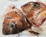 黄金比の煮汁で作る鯛あらと大根の煮付け作り方1写真