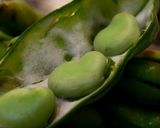 カラッと、そら豆＆厚揚げの中華あん作り方1写真
