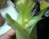 簡単甘ウマ！とうもろこしの茹で方♪作り方3写真