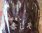 赤しそジュース作り方1写真