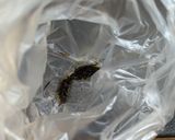 ワサビのピリッ♡長芋の塩昆布和え作り方2写真