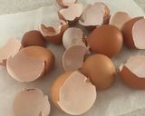 青梅のカリカリ梅作り方3写真