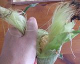 速攻　とうもろこしの皮むき！作り方2写真