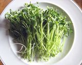 豆苗とシラントロのペスト作り方1写真