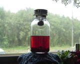 フランボワーズ香る♡ 果実酒少量漬け 作り方10写真