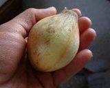 新玉ねぎのさっぱりドレッシング作り方1写真