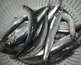 こいわしのお造り ~旬の味~作り方1写真