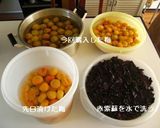 昔ながらの素朴な梅干し作り方6写真