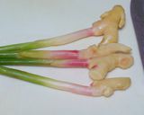 おつまみに最高♪葉生姜のしょうゆ漬け作り方1写真